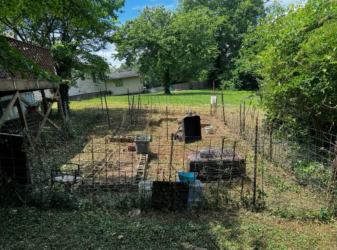 Garden enclosure and surrounding yard restored after cleanup