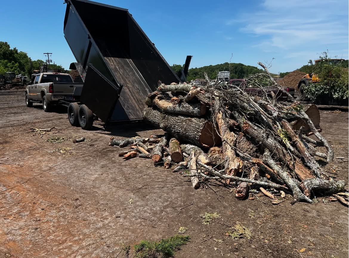 Cut logs and limbs loaded for haul-off after big tree removal