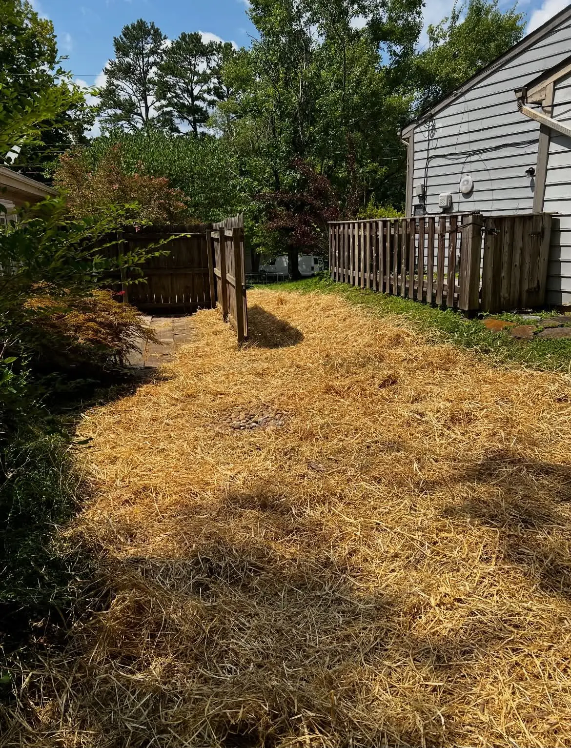 Restored backyard between homes covered in fresh straw and seed
