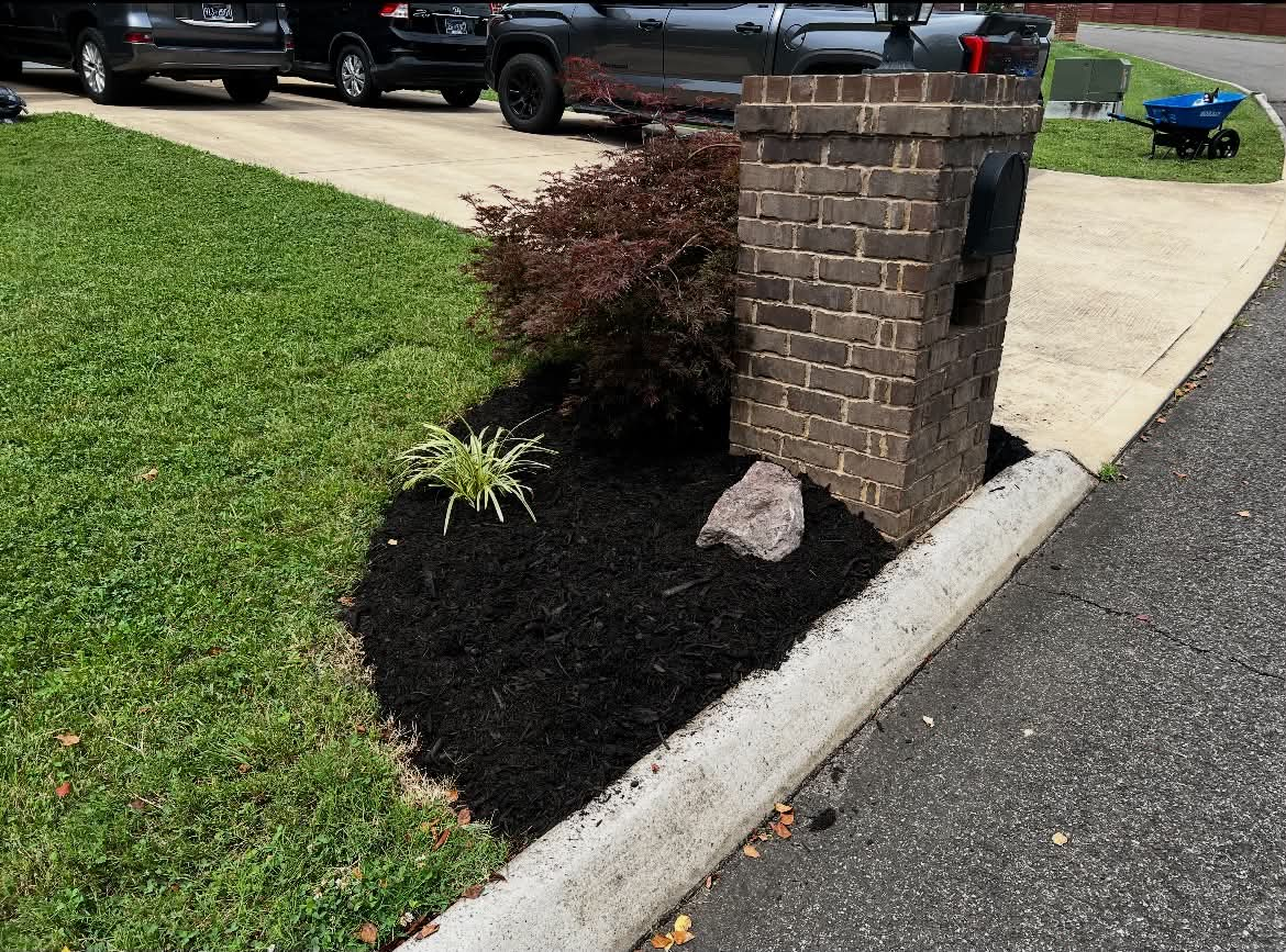 Curbside landscape bed refreshed with black mulch and accent stone