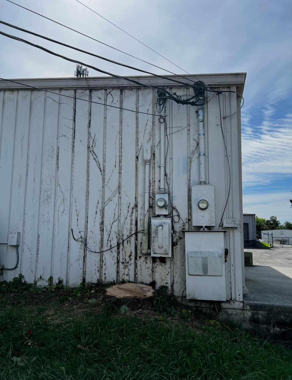 Building wall and utility area cleaned up after tree removal work