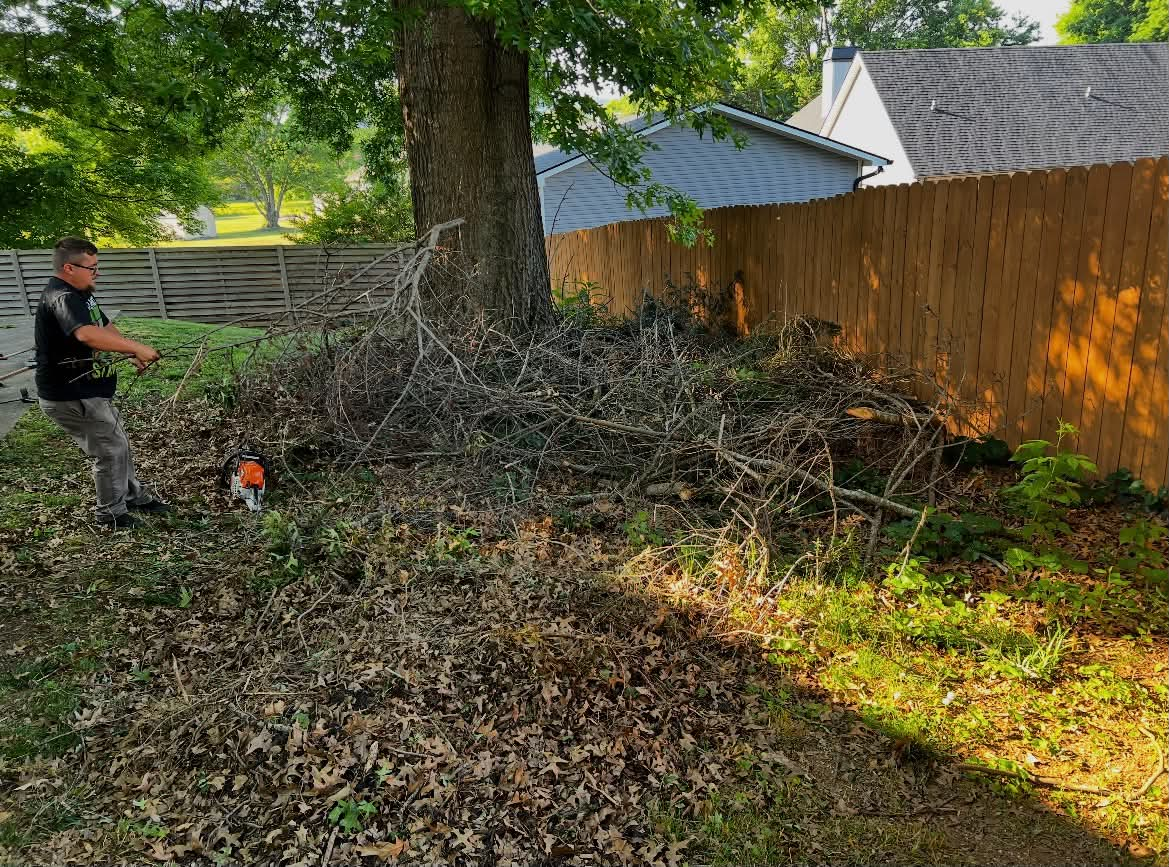 Piled brush and downed limbs along fence line before removal