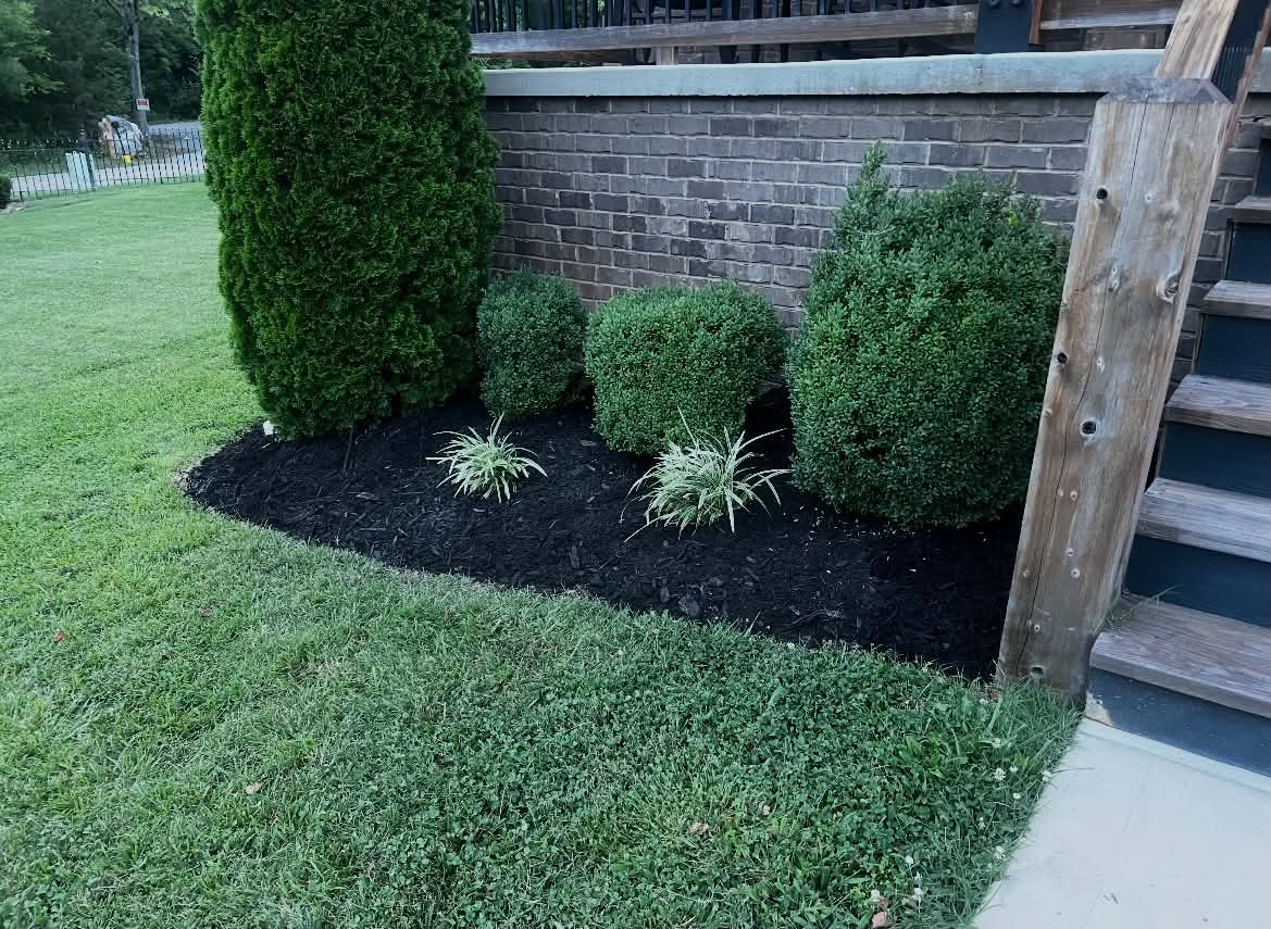 Landscape bed by deck steps with shrubs, liriope, and fresh mulch install