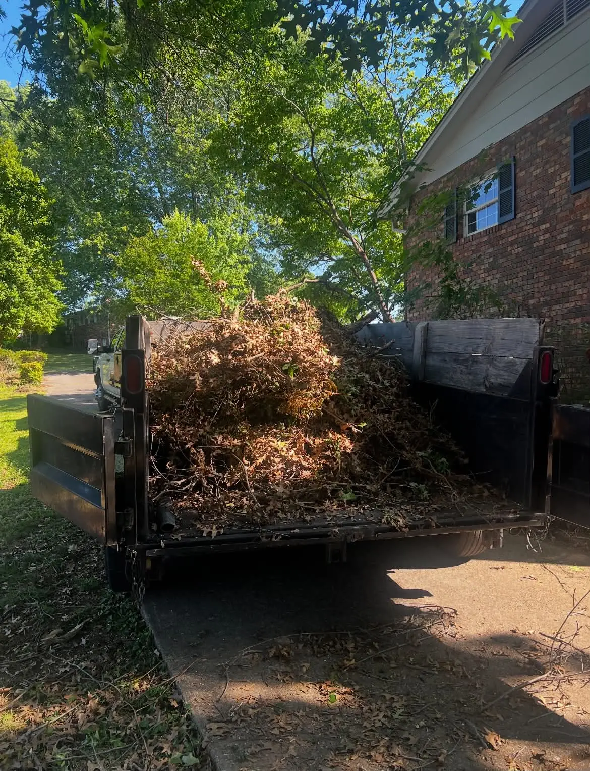 Trailer loaded with hauled-off brush and limbs after cleanup