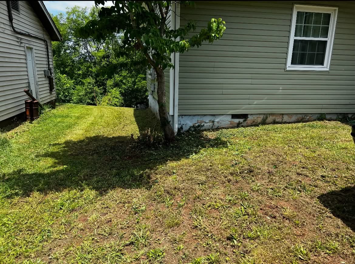 Yard beside home cleared and restored after overgrowth removal