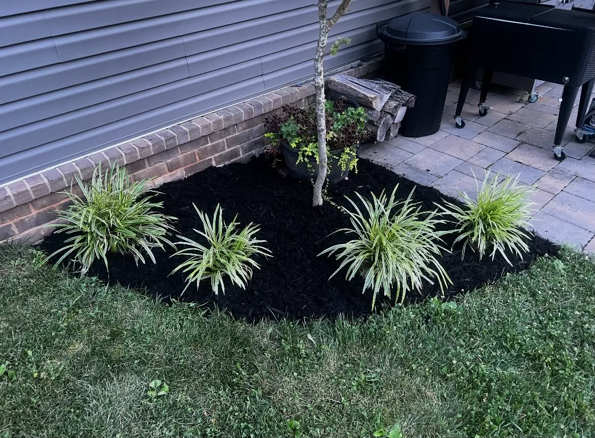 Patio-side planting bed with ornamental grasses and fresh mulch